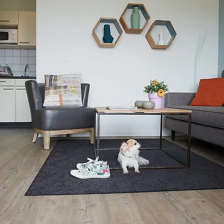 Apartment Type B.2 Hébergement de vacances Hosingen